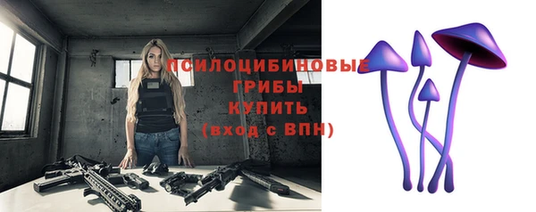 стаф Вязники